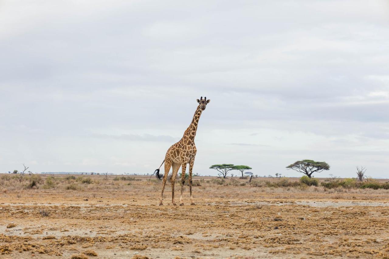 Wild Amboseli Ndovu Cottage. ภายนอก รูปภาพ