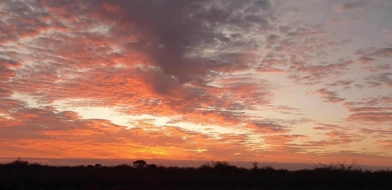 Wild Amboseli Ndovu Cottage. ภายนอก รูปภาพ