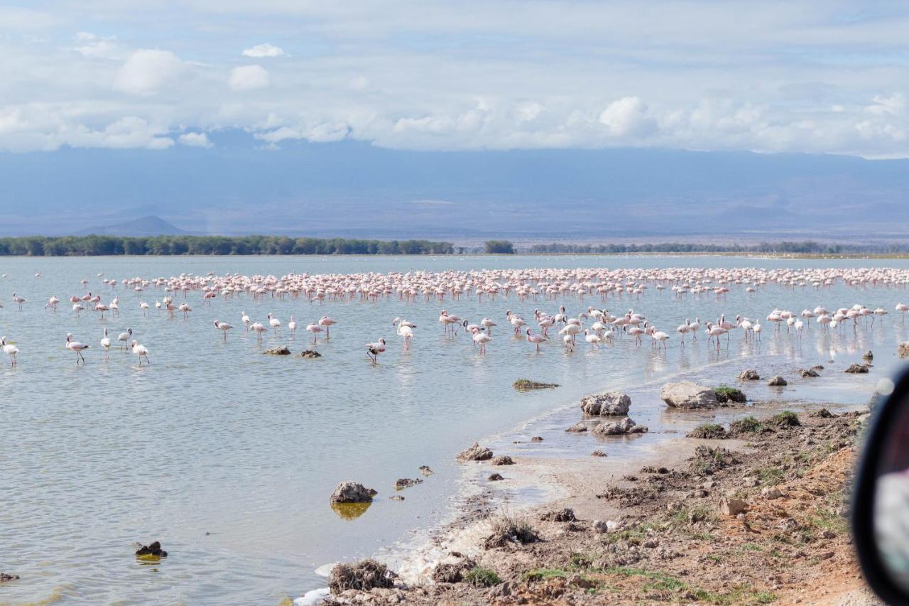 Wild Amboseli Ndovu Cottage. ภายนอก รูปภาพ