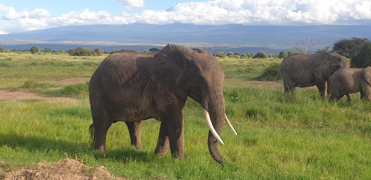 Wild Amboseli Ndovu Cottage. ภายนอก รูปภาพ