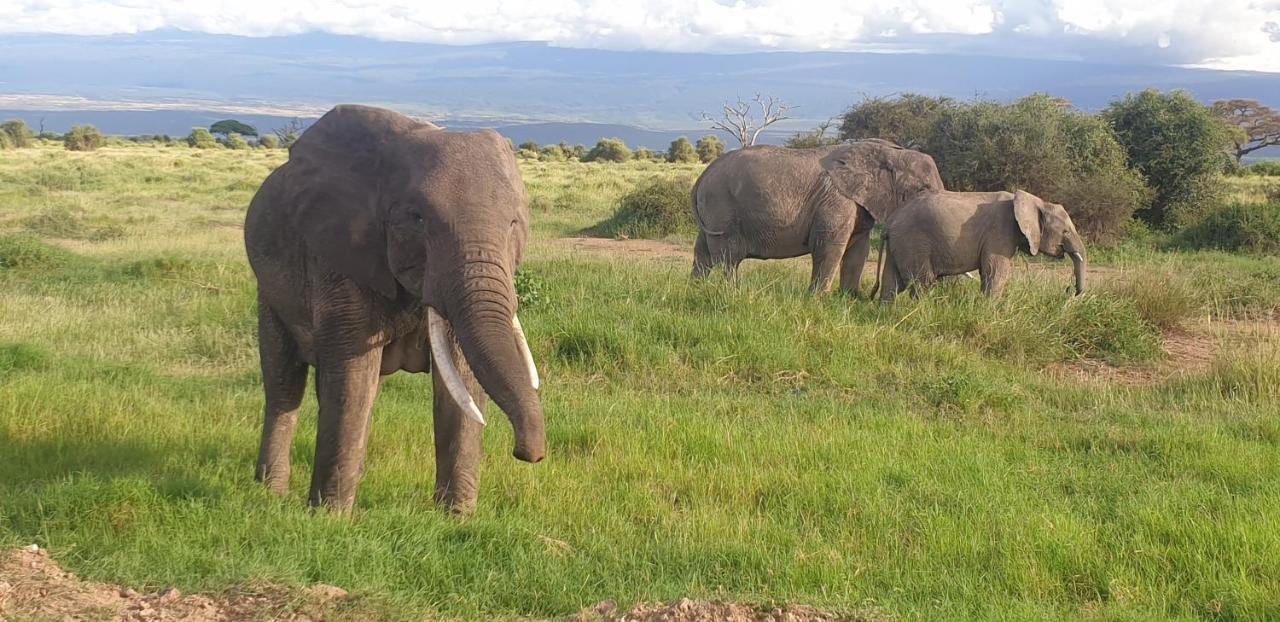 Wild Amboseli Ndovu Cottage. ภายนอก รูปภาพ