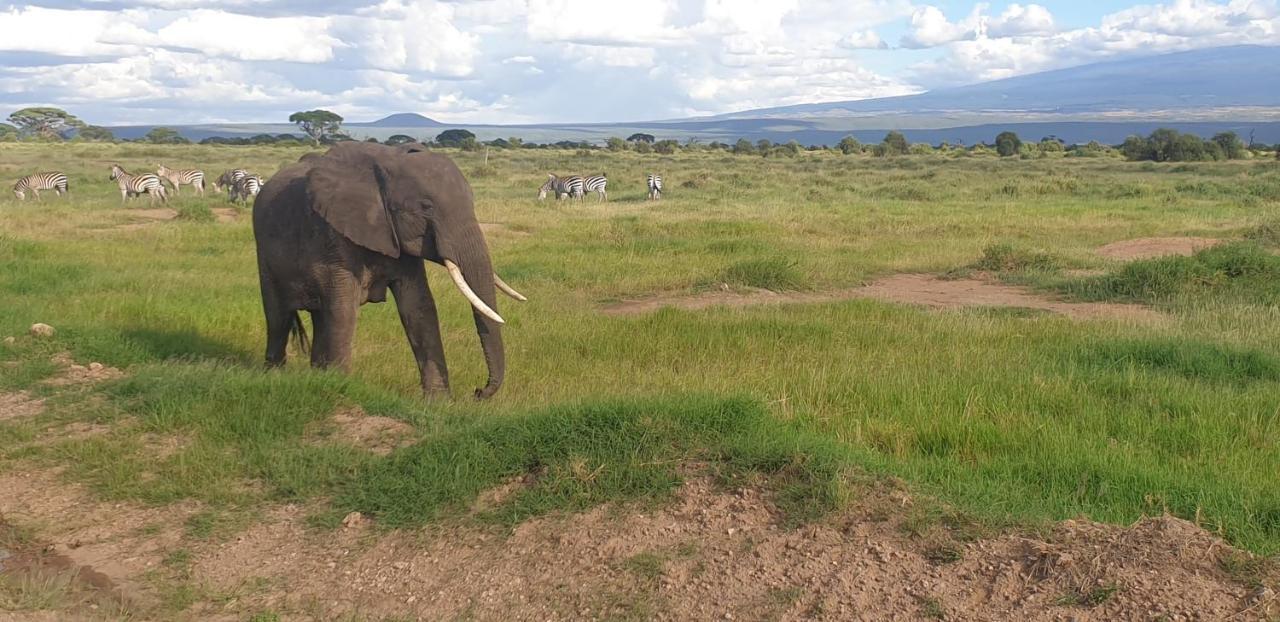Wild Amboseli Ndovu Cottage. ภายนอก รูปภาพ