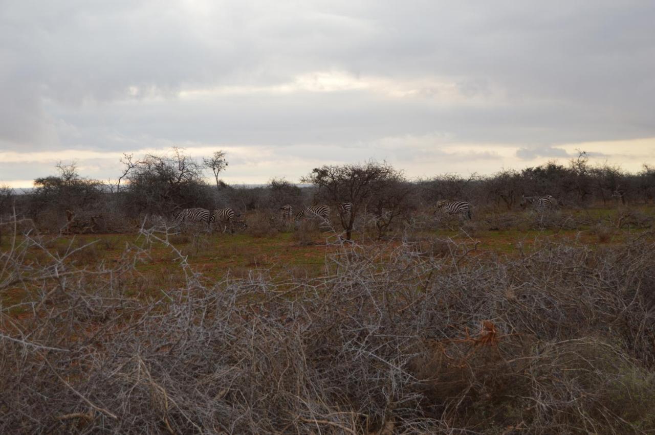 Wild Amboseli Ndovu Cottage. ภายนอก รูปภาพ