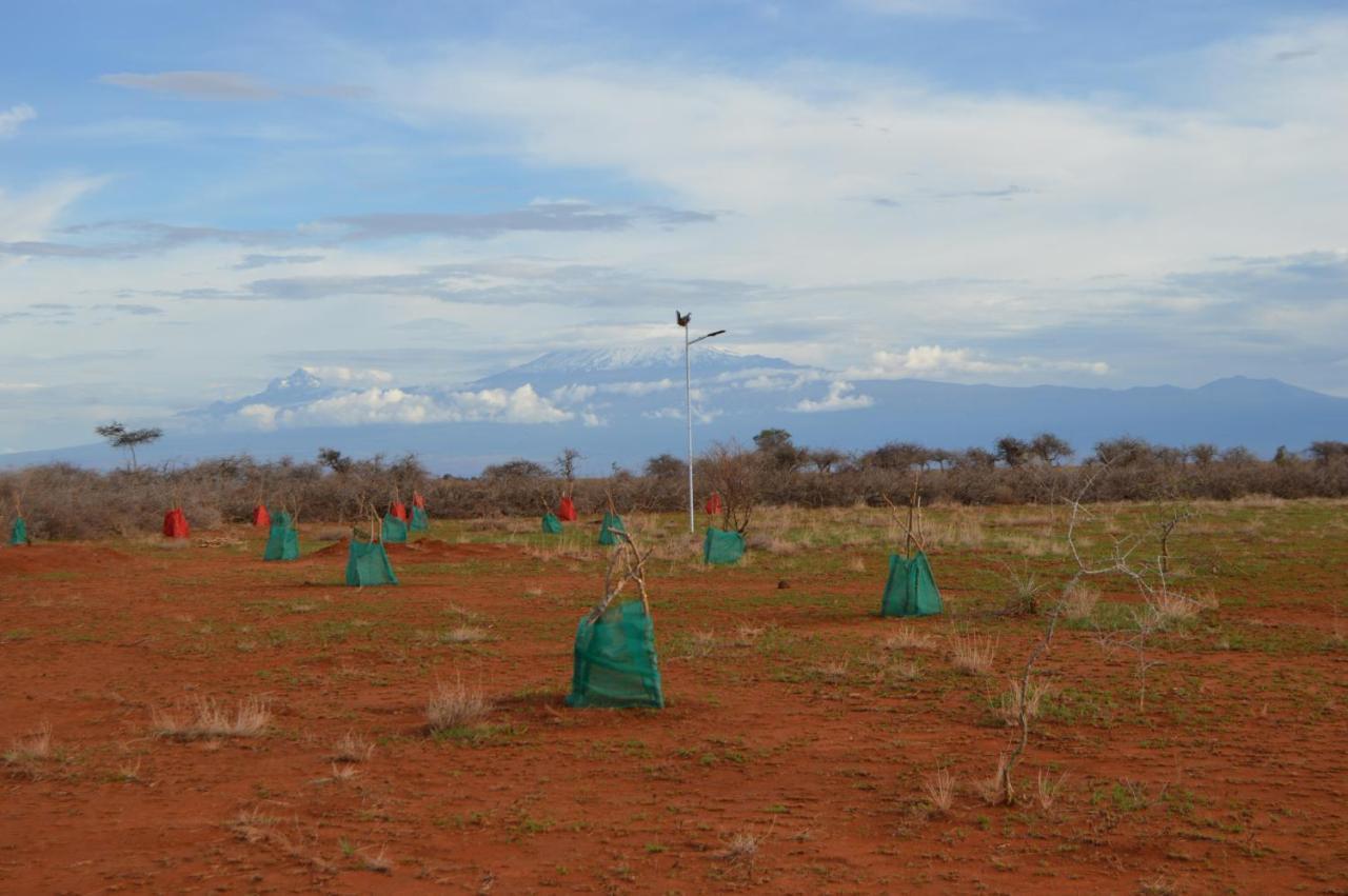 Wild Amboseli Ndovu Cottage. ภายนอก รูปภาพ