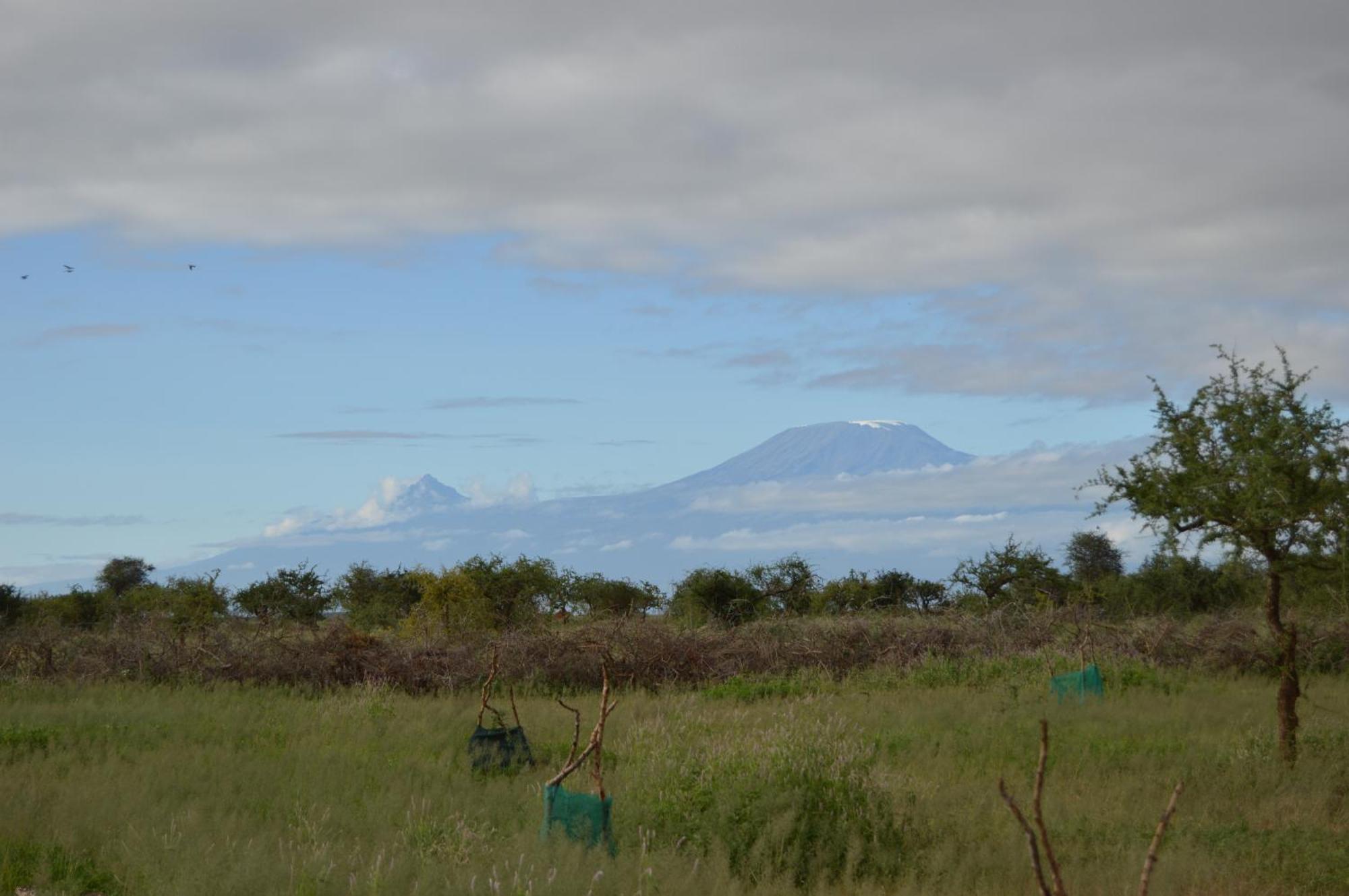 Wild Amboseli Ndovu Cottage. ภายนอก รูปภาพ
