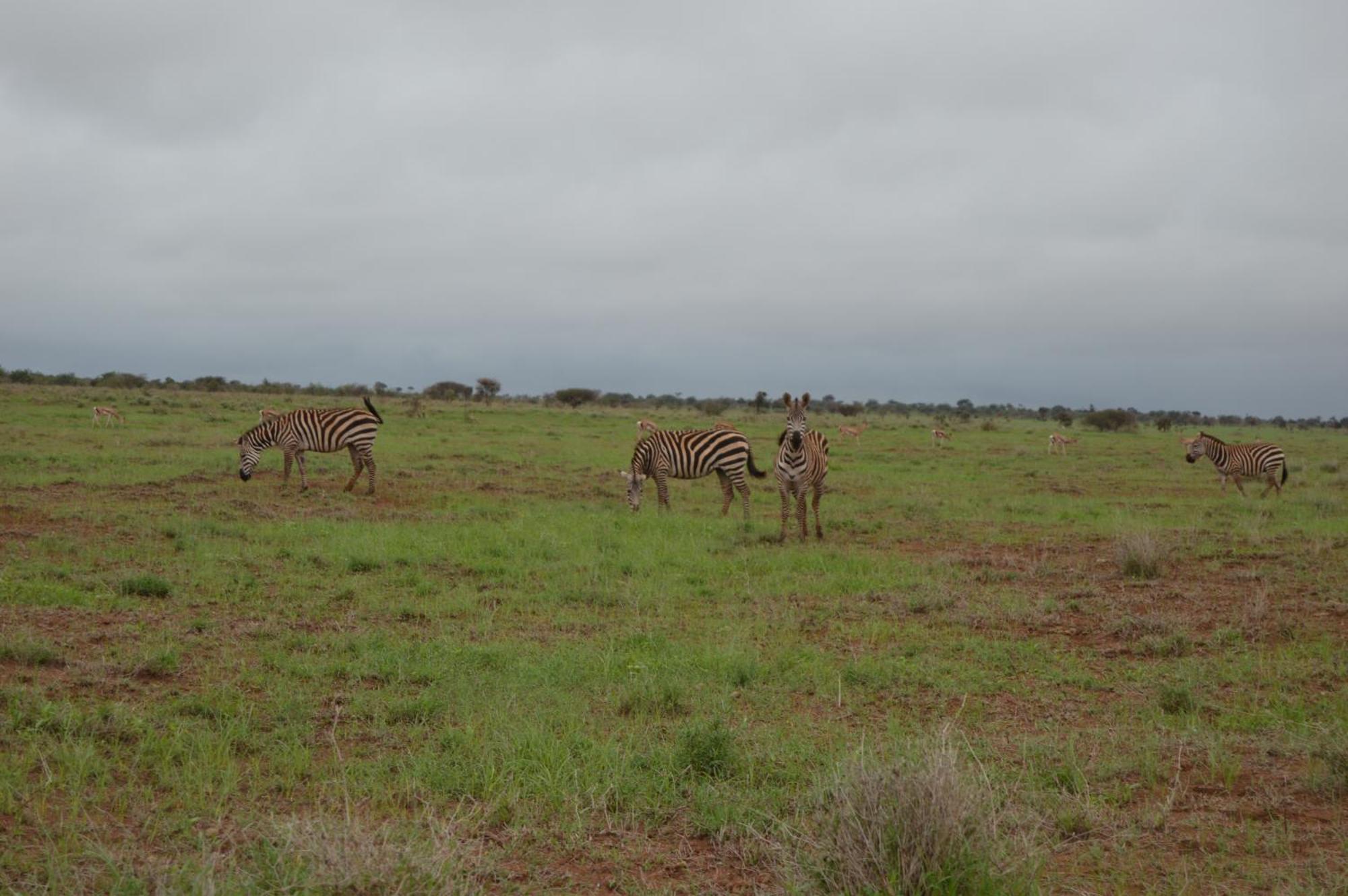Wild Amboseli Ndovu Cottage. ภายนอก รูปภาพ