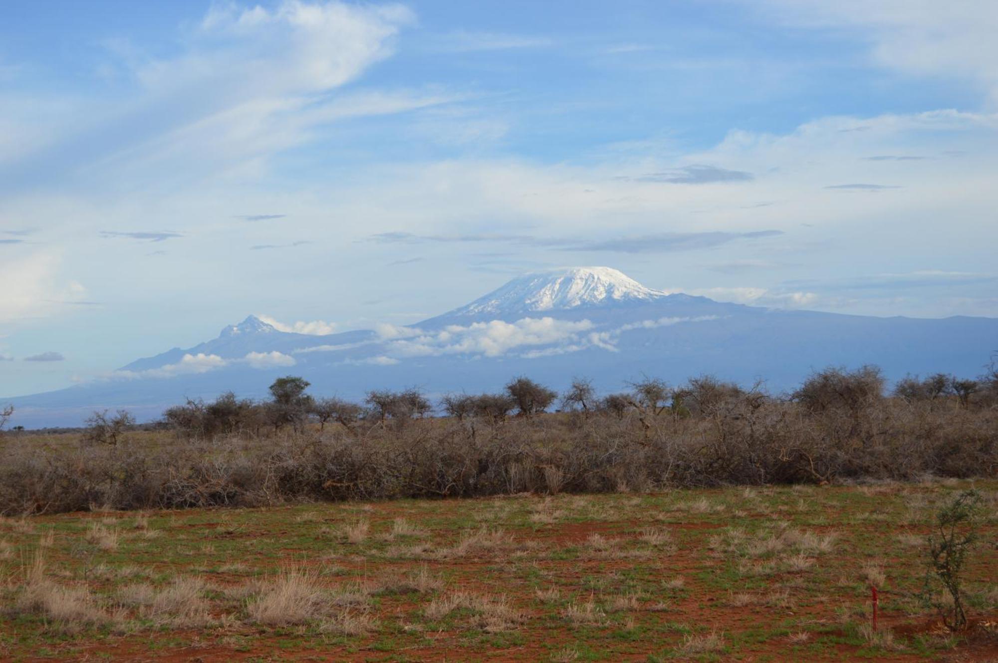 Wild Amboseli Ndovu Cottage. ภายนอก รูปภาพ